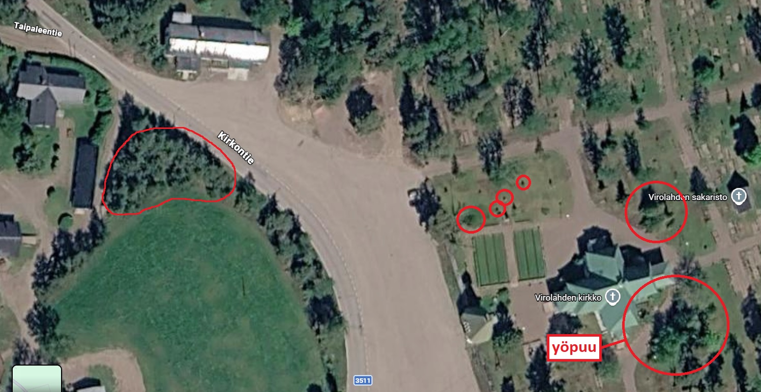 Valko-otsalepinkäisen vakiopuut.